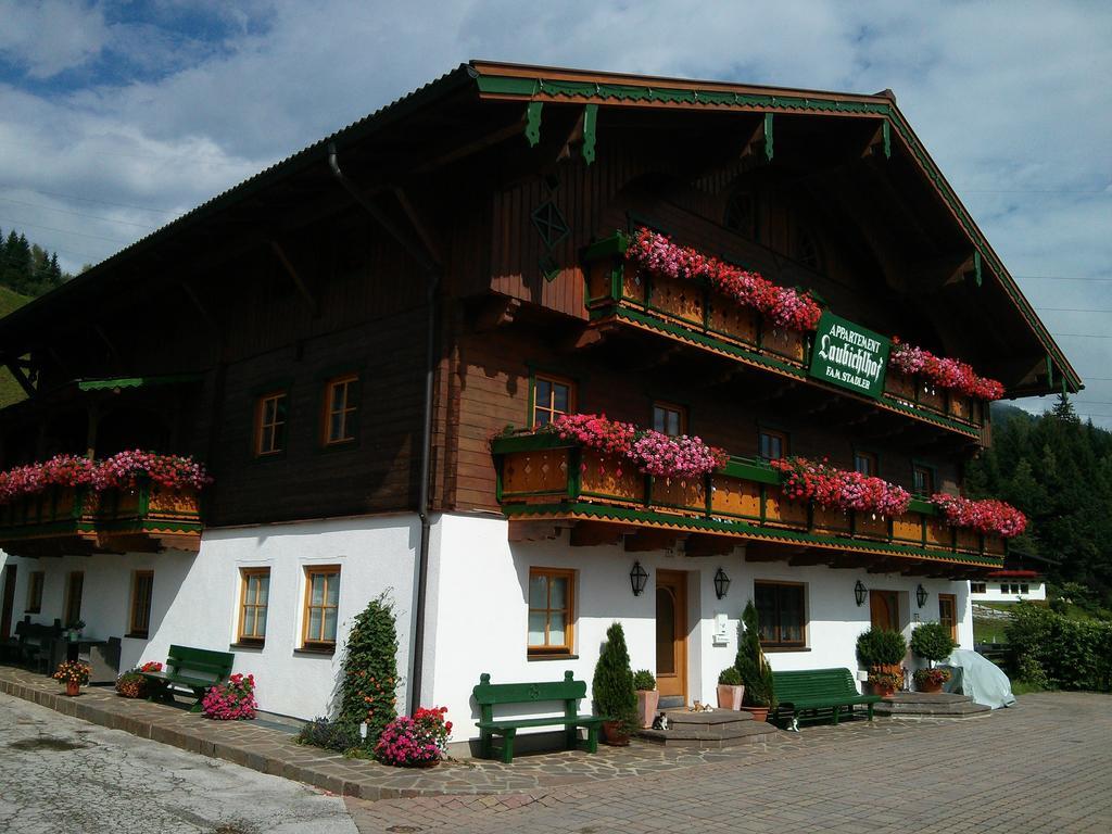 Laubichlhof Apartment Flachau Room photo